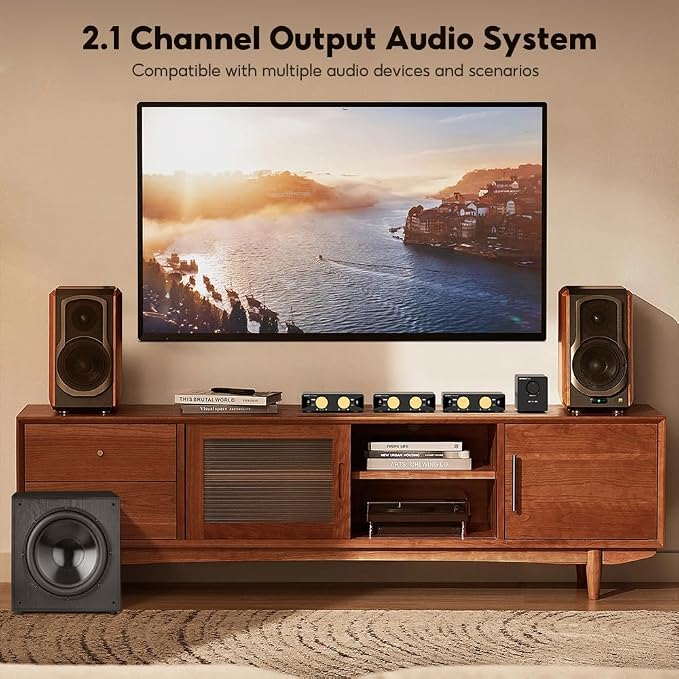 AIYIMA A70 Mono Amplifier with PFFB Home Audio Receiver, TPA3255 Class D Amp