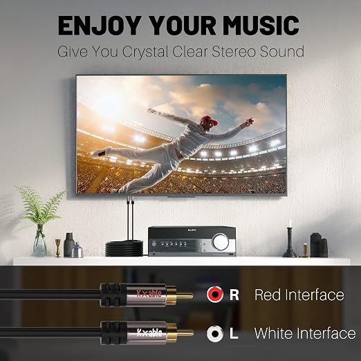RCA Cable 100FT, 2RCA Male to 2RCA Male Stereo Audio Cable, 【Oxygen-Free Copper